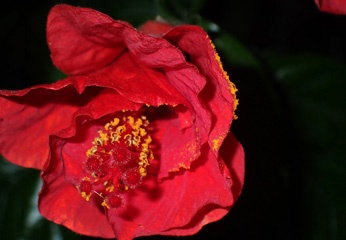 P8026505a.jpg